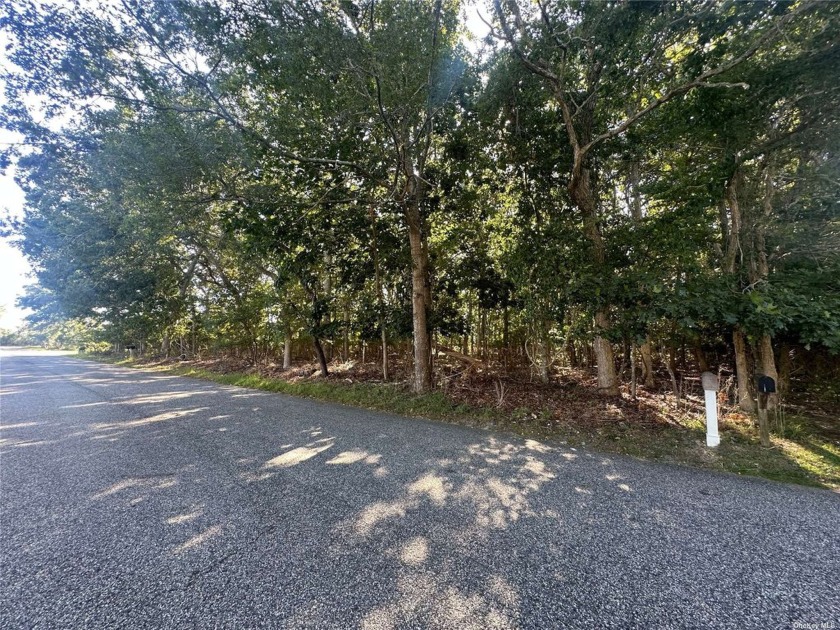 Two Level Third Acre Building Lots with Health Dept Approval for - Beach Lot for sale in East Quogue, New York on Beachhouse.com