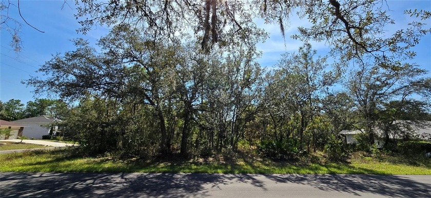 Build your dream home!! Nestled in the desirable Sugarmill Woods - Beach Lot for sale in Homosassa, Florida on Beachhouse.com