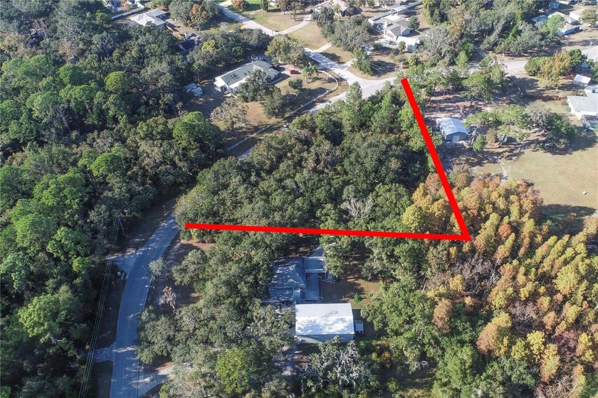 DREAM BIG on this rare 1+ acre homesite in Golden Acres -- where - Beach Lot for sale in New Port Richey, Florida on Beachhouse.com
