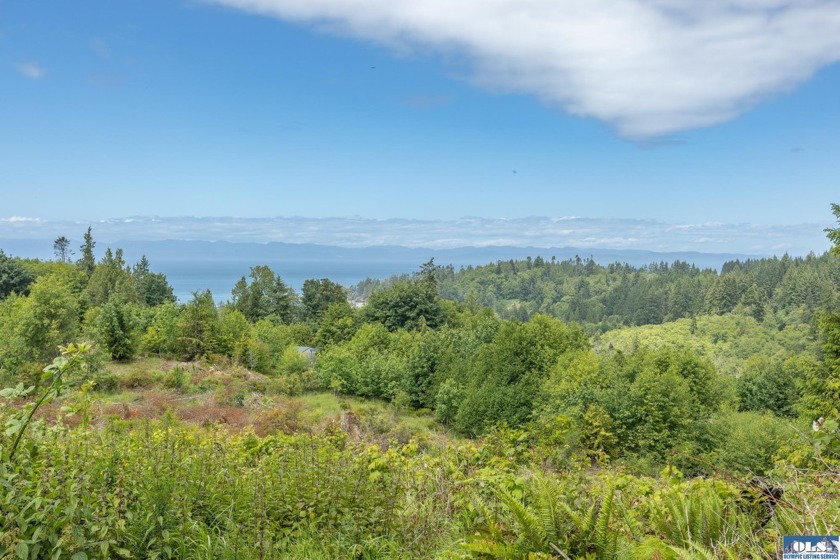 Gorgeous 6.49 acre parcel with view of the Beautiful Strait - Beach Acreage for sale in Port Angeles, Washington on Beachhouse.com