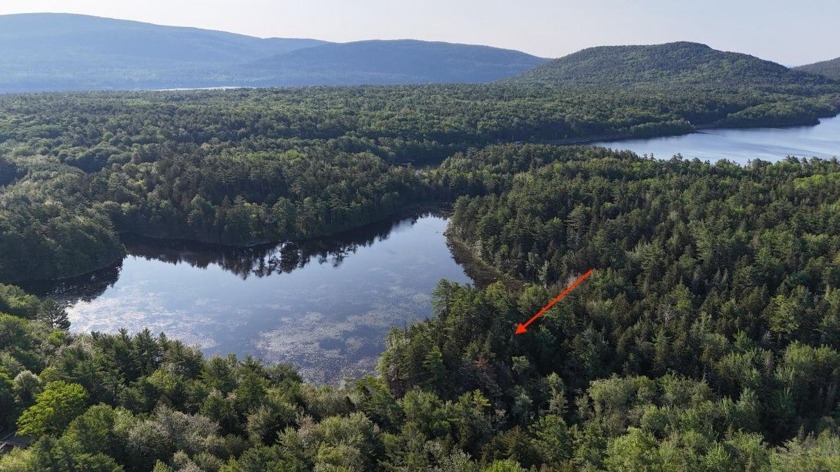 Very private 7.6 acre waterfront lot on unspoiled little Echo - Beach Lot for sale in Mount Desert, Maine on Beachhouse.com
