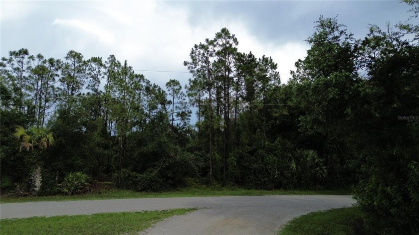 Corner piece of property in expanding Tropical Gulf Acres. Just - Beach Lot for sale in Punta Gorda, Florida on Beachhouse.com