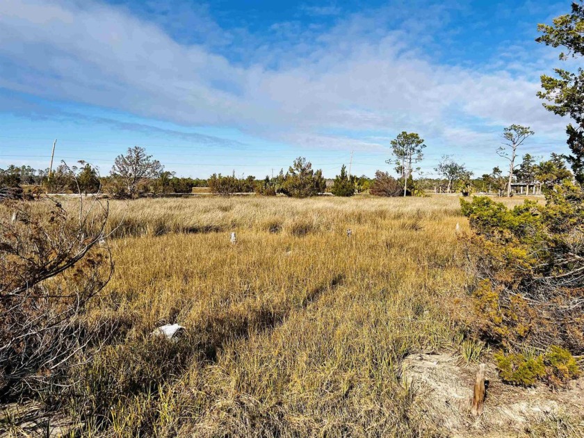 0.27 acre lot overlooking the Gulf of Mexico, on quaint Ezell - Beach Lot for sale in Keaton Beach, Florida on Beachhouse.com