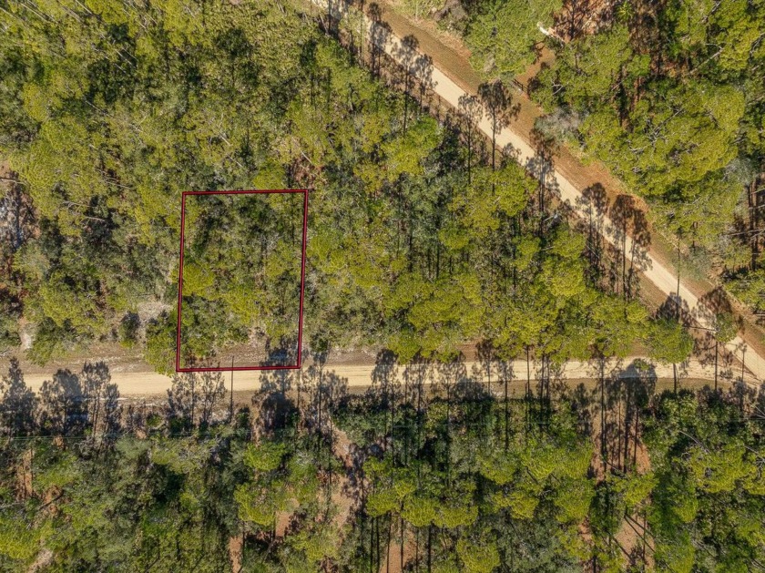 Build your coastal home or weekend get away on Bald Point! - Beach Lot for sale in Bald Point, Florida on Beachhouse.com