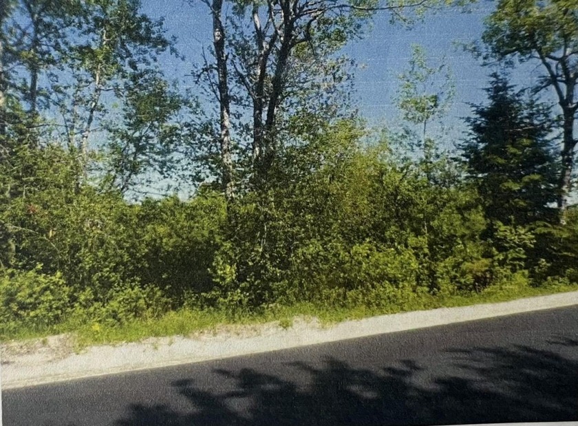 Lovely parcel of land in desirable Morgan Bay Road location - Beach Lot for sale in Surry, Maine on Beachhouse.com