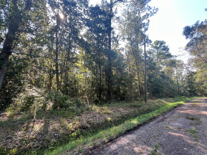 Amazing opportunity to purchase approx 1.7 ACRES in WAVELAND! - Beach Lot for sale in Waveland, Mississippi on Beachhouse.com