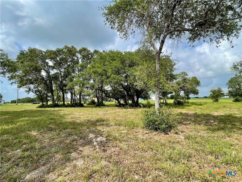 1.45 acres ready to build on! End of the Cul-de-sac! Property - Beach Lot for sale in Seadrift, Texas on Beachhouse.com