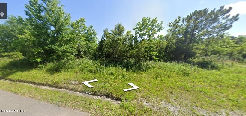 Prime Location 2 blocks from the beach near the casino - Beach Lot for sale in Bay Saint Louis, Mississippi on Beachhouse.com