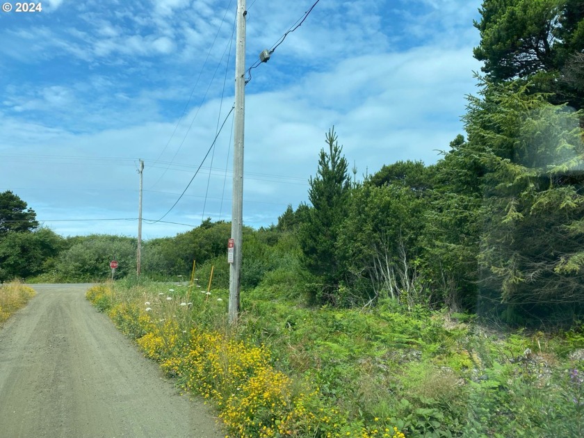 8,276 sqft lot Directly across the street from the Ocean! - Beach Lot for sale in Yachats, Oregon on Beachhouse.com