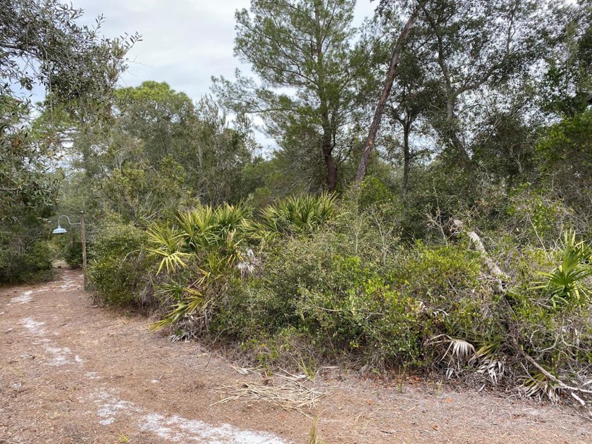 Build your new island home on this nice lot in Anchor Cove, and - Beach Lot for sale in Cedar Key, Florida on Beachhouse.com
