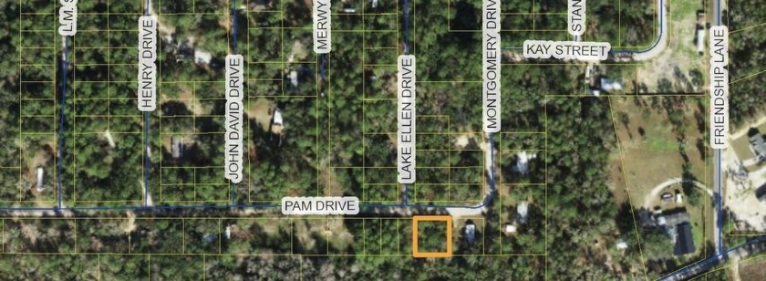 Build your dream home on this prime buildable 100x100 lot - Beach Lot for sale in Crawfordville, Florida on Beachhouse.com