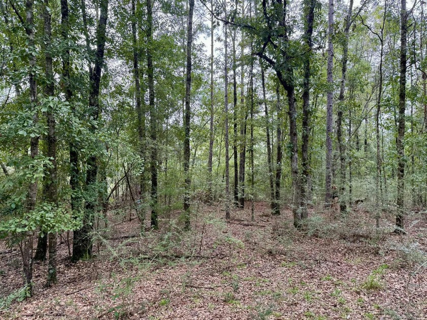Enjoy privacy and peace of mind with this 9-acre wooded parcel - Beach Acreage for sale in Milton, Florida on Beachhouse.com