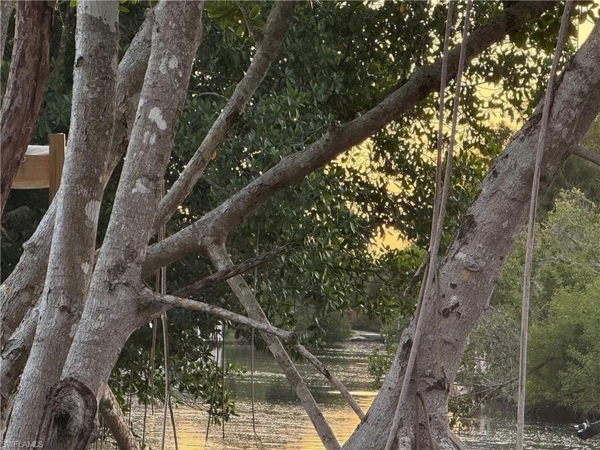 Lot 26 - Canal Front Luxury with Indirect Gulf Access

Welcome - Beach Lot for sale in Naples, Florida on Beachhouse.com