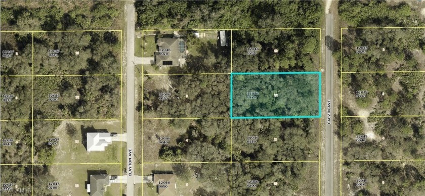 Prime 0.50 acre vacant lot in Lehigh Acres. Perfectly located in - Beach Lot for sale in Lehigh Acres, Florida on Beachhouse.com