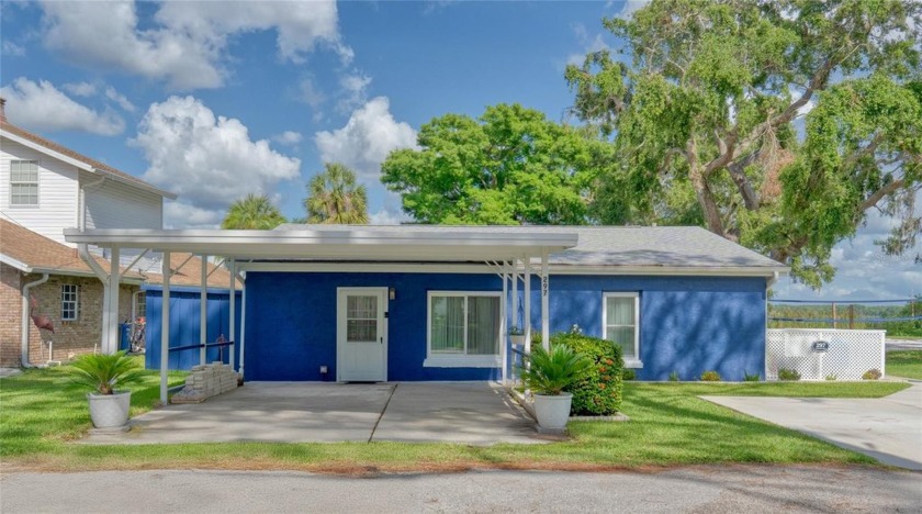 Don't miss your chance to live on Lake Tarpon! This stunning - Beach Home for sale in Tarpon Springs, Florida on Beachhouse.com