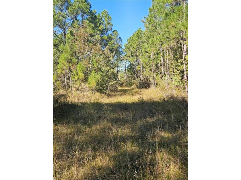 Includes both parcels with Key# 03423744 and Key# 1690655 - Beach Acreage for sale in Coden, Alabama on Beachhouse.com