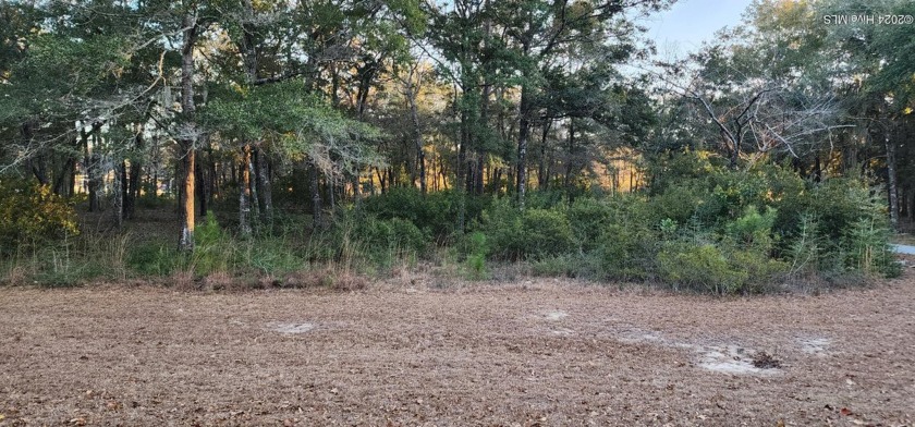 Build your dream home on this .57-acre lot in the desirable - Beach Lot for sale in Supply, North Carolina on Beachhouse.com