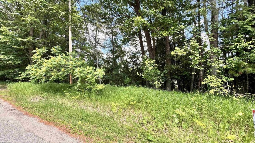 Wooded vacant lot on almost 5 acres. Natural gas at the street - Beach Acreage for sale in Oscoda, Michigan on Beachhouse.com