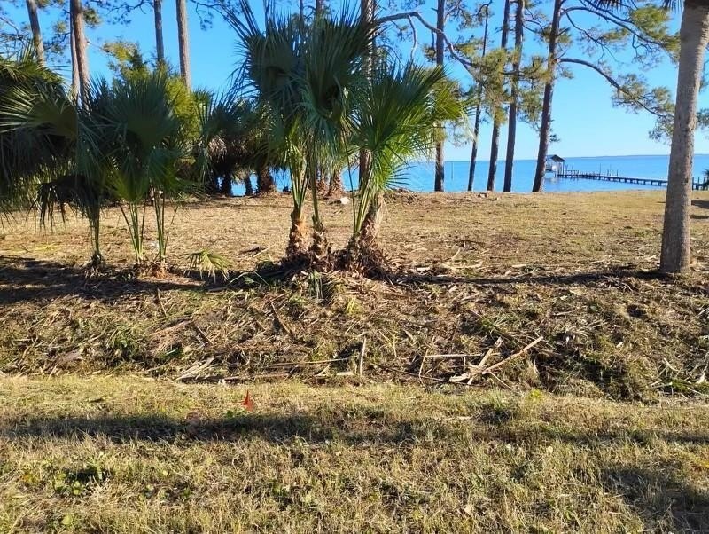 Carrabelle, FL BAYFRONT PROPERTY ZONED - Beach Lot for sale in Carabelle, Florida on Beachhouse.com