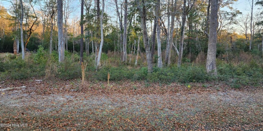 Bring your dream house to life on this .57-acre lot in the - Beach Lot for sale in Supply, North Carolina on Beachhouse.com