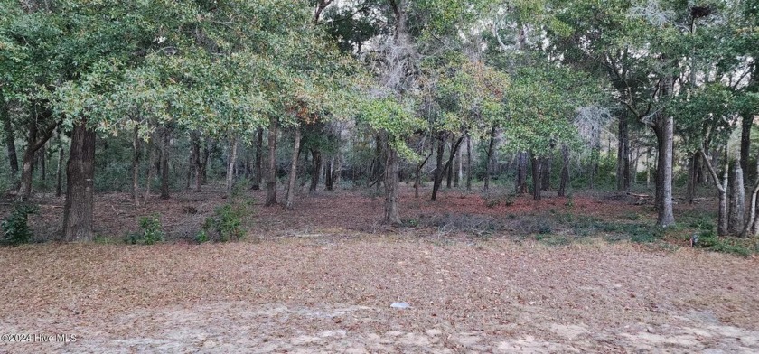 Spacious Lot in Gated Oyster Harbour Community - Ideal for Your - Beach Lot for sale in Supply, North Carolina on Beachhouse.com