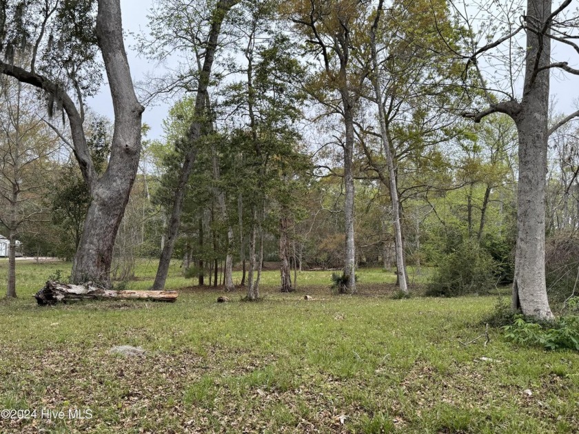 Beautiful partially cleared lot over a 1/2 acre. Close to the - Beach Lot for sale in Sunset Beach, North Carolina on Beachhouse.com