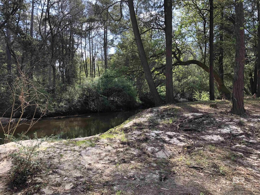 THIS IS A ONE OF A KIND PROPERTY! 40 acre parcel zoned RA- NO - Beach Home for sale in Robertsdale, Alabama on Beachhouse.com