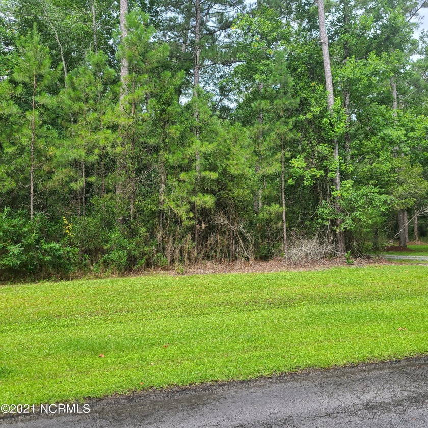 4.33 ACRES!!  Peace and Tranquility!!  MOTIVATED SELLER!! This - Beach Acreage for sale in Merritt, North Carolina on Beachhouse.com