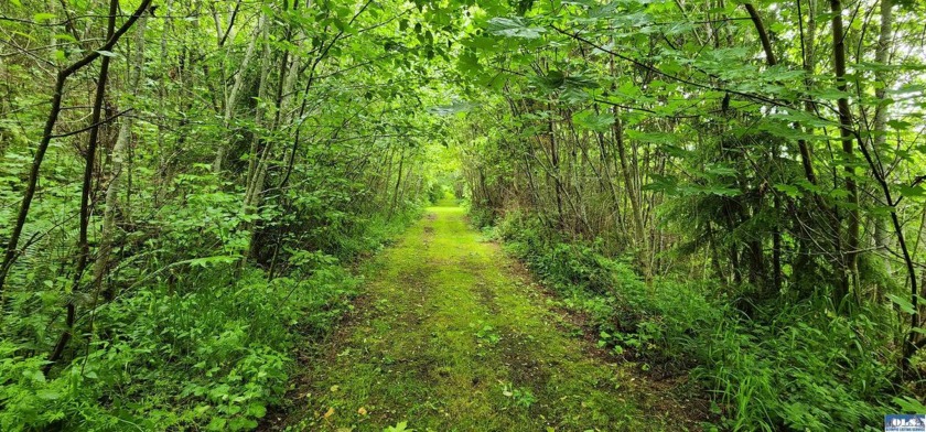 738 GRAUEL-RAMAPO RD - Beach Acreage for sale in Joyce, Washington on Beachhouse.com