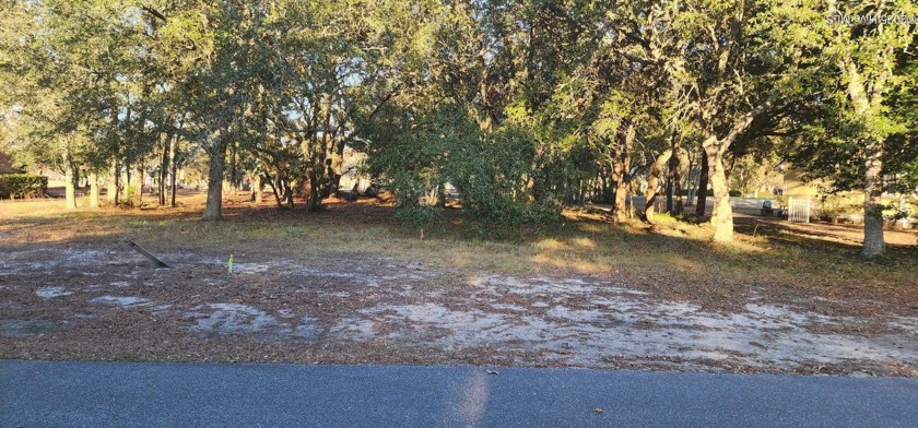 This generous size lot is nestled within the highly sought-after - Beach Lot for sale in Supply, North Carolina on Beachhouse.com