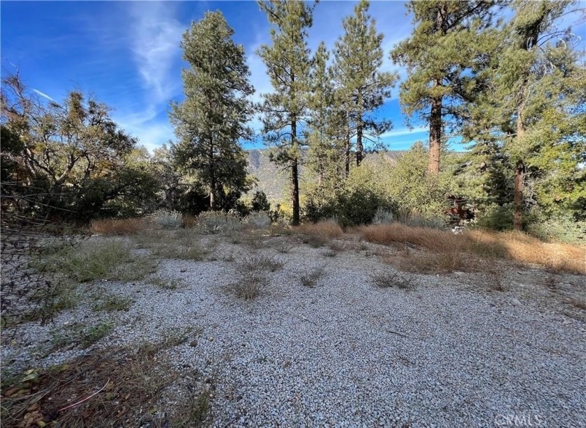 ITEMS INCLUDED IN THE SALE: Completed Land Survey, Completed - Beach Lot for sale in Pine Mountain Club, California on Beachhouse.com