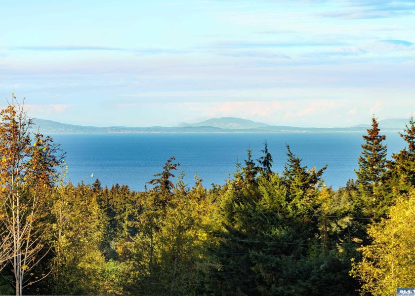 374 Black Bear Trail - Beach Acreage for sale in Port Angeles, Washington on Beachhouse.com