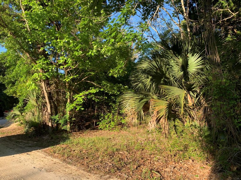 This .16 acre is located on a quite neighborhood in the Granger - Beach Lot for sale in Steinhatchee, Florida on Beachhouse.com