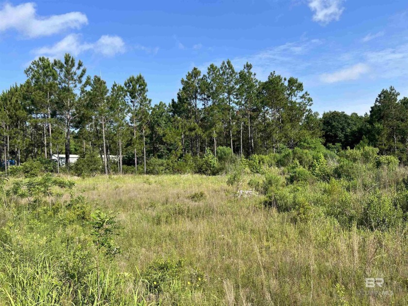 Welcome to Gulf Shores, Alabama! Nestled on a vast parcel of - Beach Acreage for sale in Gulf Shores, Alabama on Beachhouse.com