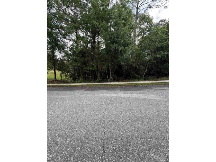 Tucked away in nature yet full of possibility, this beautiful 1 - Beach Lot for sale in Spanish Fort, Alabama on Beachhouse.com