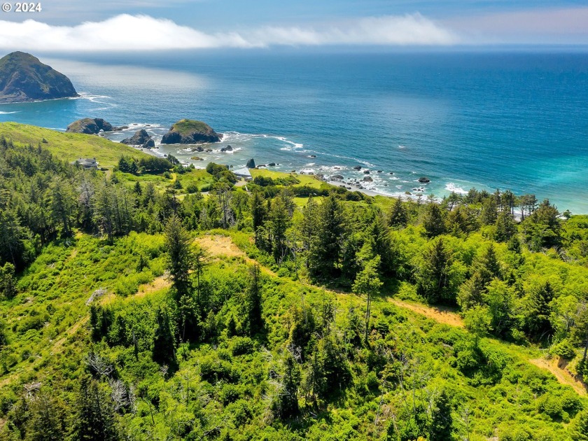 Located along scenic Hwy 101, roughly 40 miles North of the CA - Beach Acreage for sale in Gold Beach, Oregon on Beachhouse.com