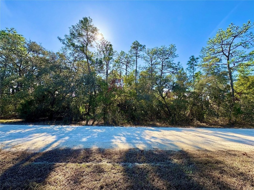 Beautiful 1.80+ acre private wooded homesite located in the - Beach Lot for sale in Weeki Wachee, Florida on Beachhouse.com