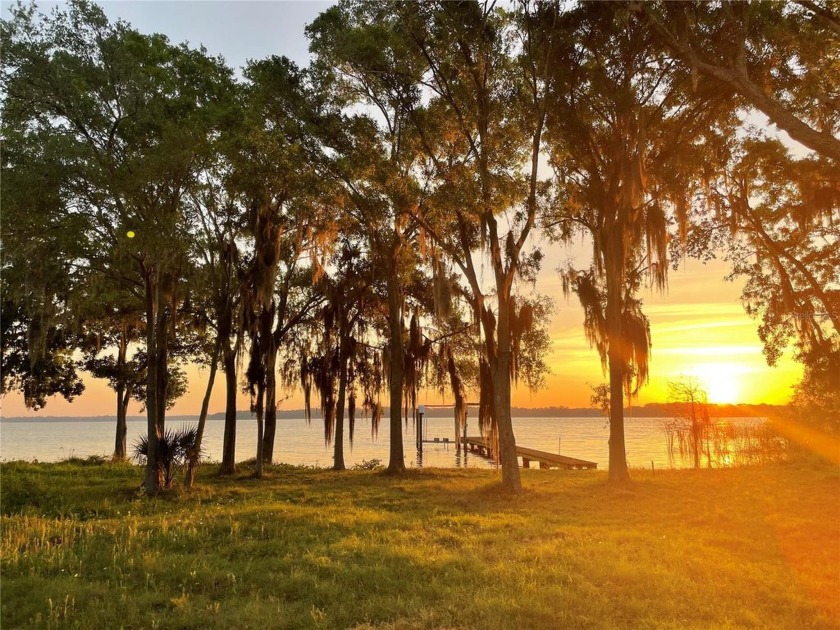 Extremely RARE opportunity to own a pristine and private three - Beach Acreage for sale in Palm Harbor, Florida on Beachhouse.com