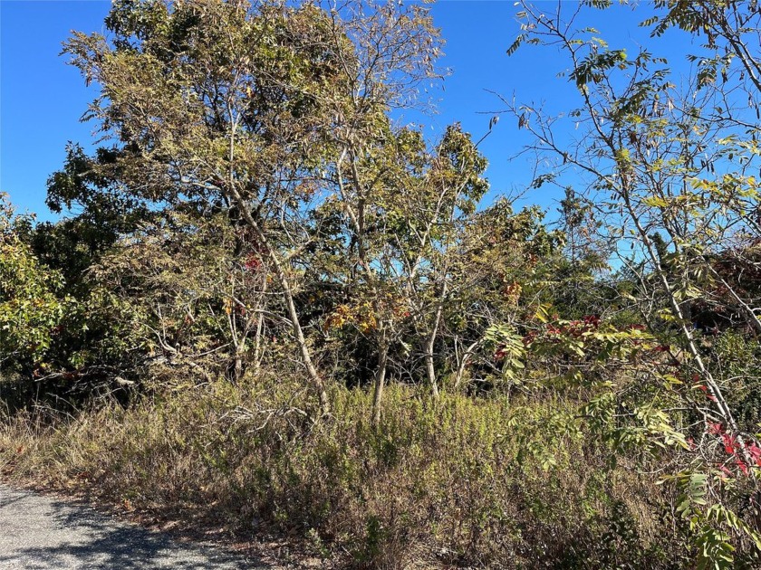 This Land is Just Shy 1/2 Acre with Water Views of the LI Sound - Beach Lot for sale in Wading River, New York on Beachhouse.com