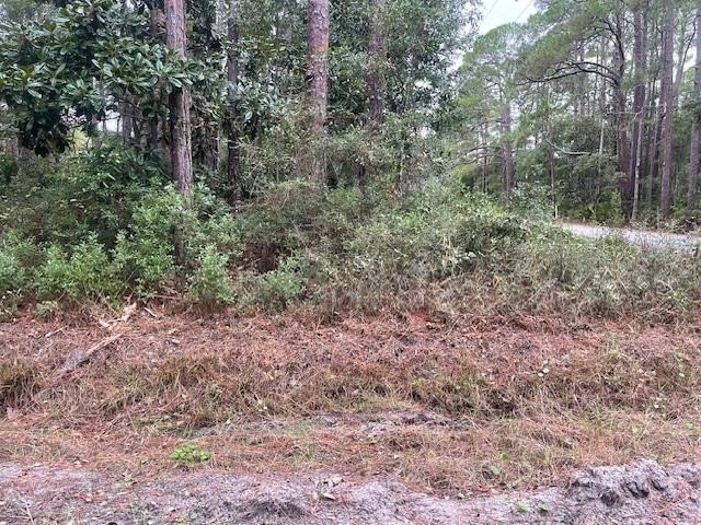 Each lot can be sold separately for $29,000.00 each lot. 3 lots - Beach Lot for sale in Panacea, Florida on Beachhouse.com
