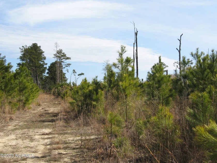 An Amazing Sound Front view with an 1800' of Canal frontage with - Beach Acreage for sale in Barco, North Carolina on Beachhouse.com