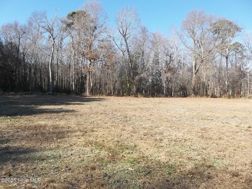 This beautiful 10-acre waterfront lot is cleared in the front - Beach Acreage for sale in Camden, North Carolina on Beachhouse.com