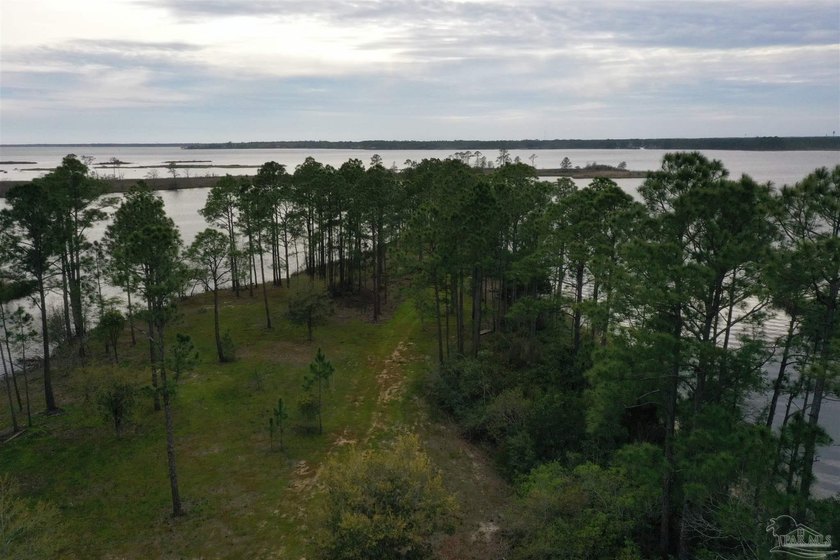 Imagine waking up surrounded by water on three sides, where the - Beach Acreage for sale in Milton, Florida on Beachhouse.com