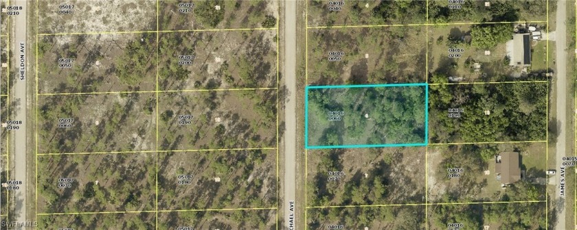 Prime 0.50 acre vacant lot in Lehigh Acres. Perfectly located in - Beach Lot for sale in Lehigh Acres, Florida on Beachhouse.com