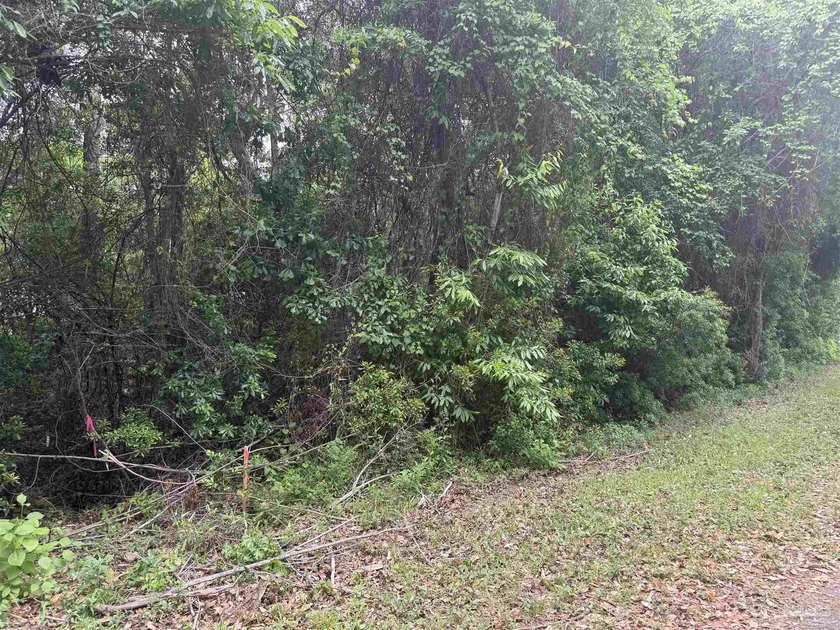 Build your dream home on this beautiful .37-acre lot in Navarre - Beach Lot for sale in Navarre, Florida on Beachhouse.com