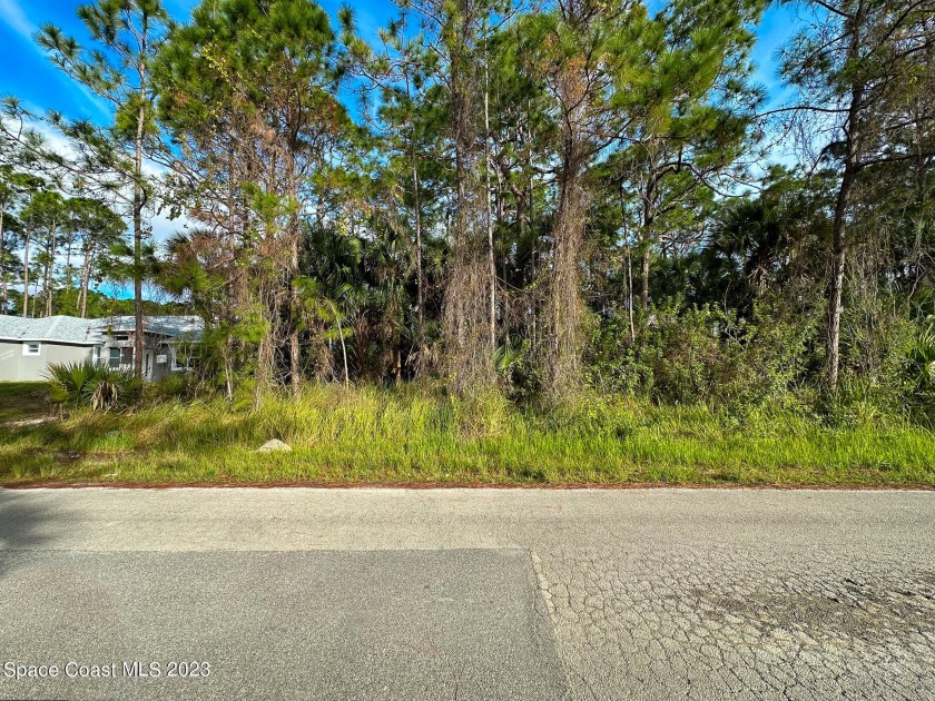 One of three side-by-side adjacent residential lots, each - Beach Lot for sale in Palm Bay, Florida on Beachhouse.com