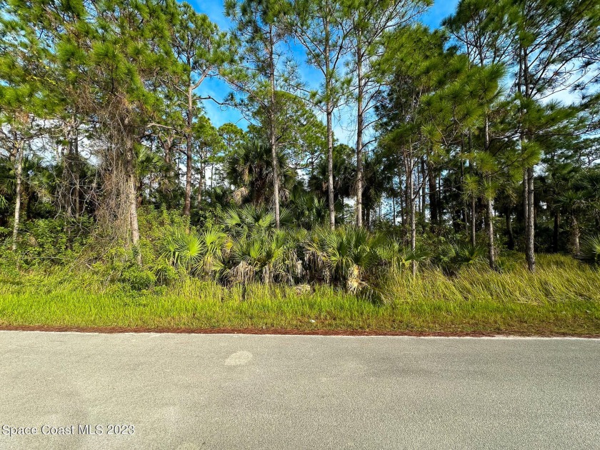 One of three side-by-side adjacent residential lots, each - Beach Lot for sale in Palm Bay, Florida on Beachhouse.com