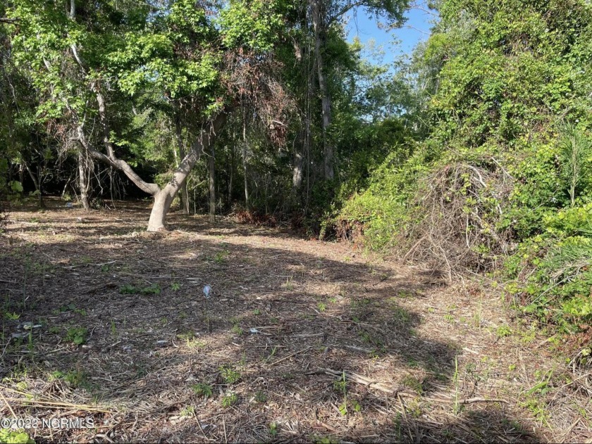 Time to take another look at this oversized lot. 
 Seize the - Beach Lot for sale in Oak Island, North Carolina on Beachhouse.com