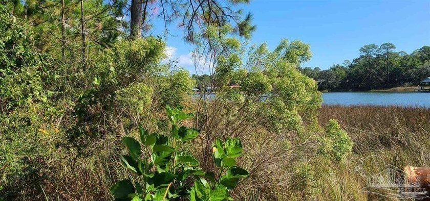 Welcome to Bay Point Retreat, where your dream home can become a - Beach Lot for sale in Milton, Florida on Beachhouse.com