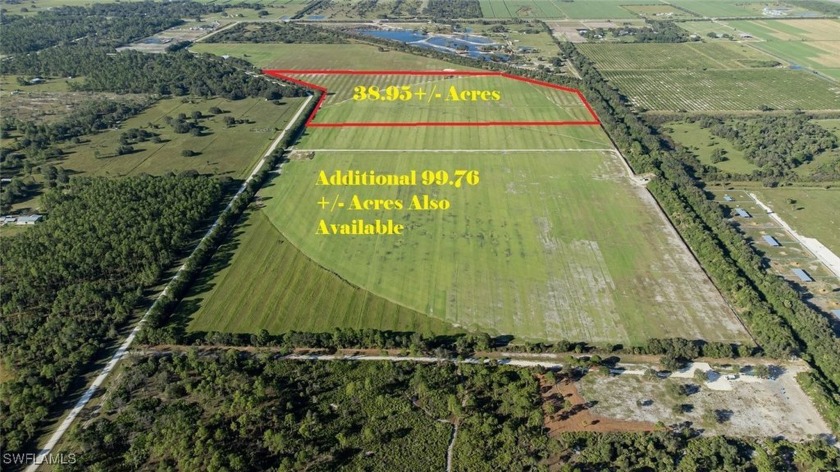 38.95+/- laser leveled acres, currently used as a Zosia sod farm - Beach Acreage for sale in Clewiston, Florida on Beachhouse.com